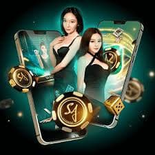 bty521